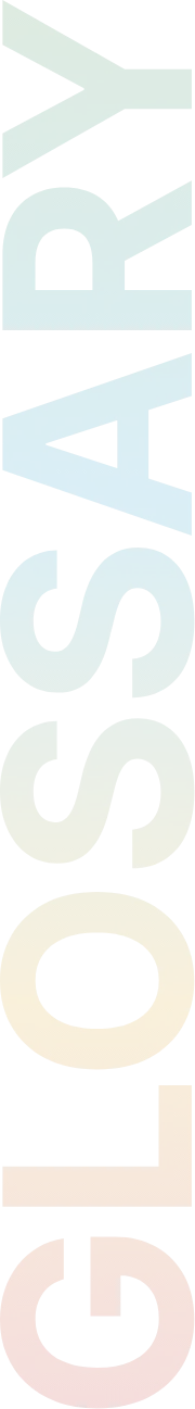 GLOSSARY